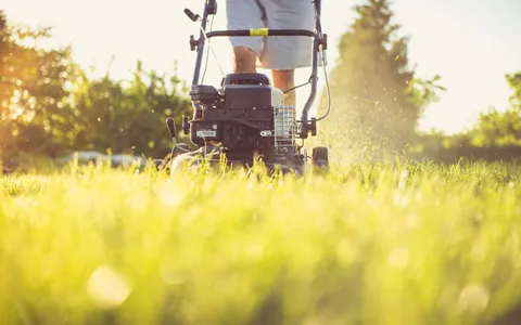 Gardener mowing a green lawn with a petrol lawn mower in evening sunlight